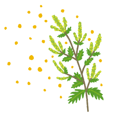 花粉症について